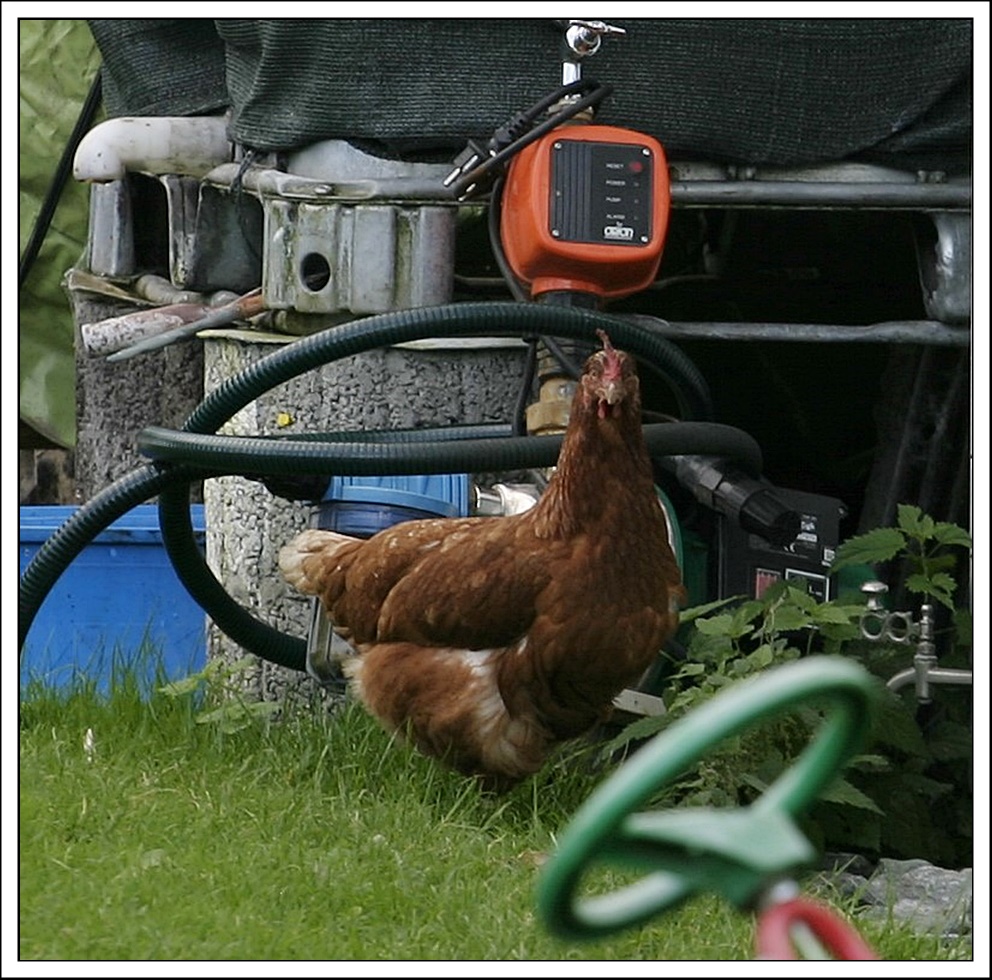 " Hast Du Ahnung von Technik ?"