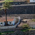 Hast Du auch eine Palme vor der Haustür ?