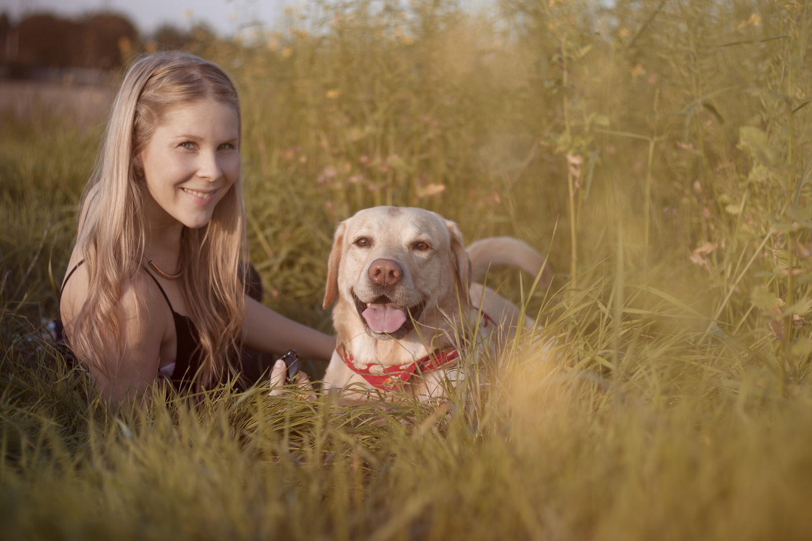 Hast du die Liebe eines Hundes gewonnen, so wird sie nie vergehen.