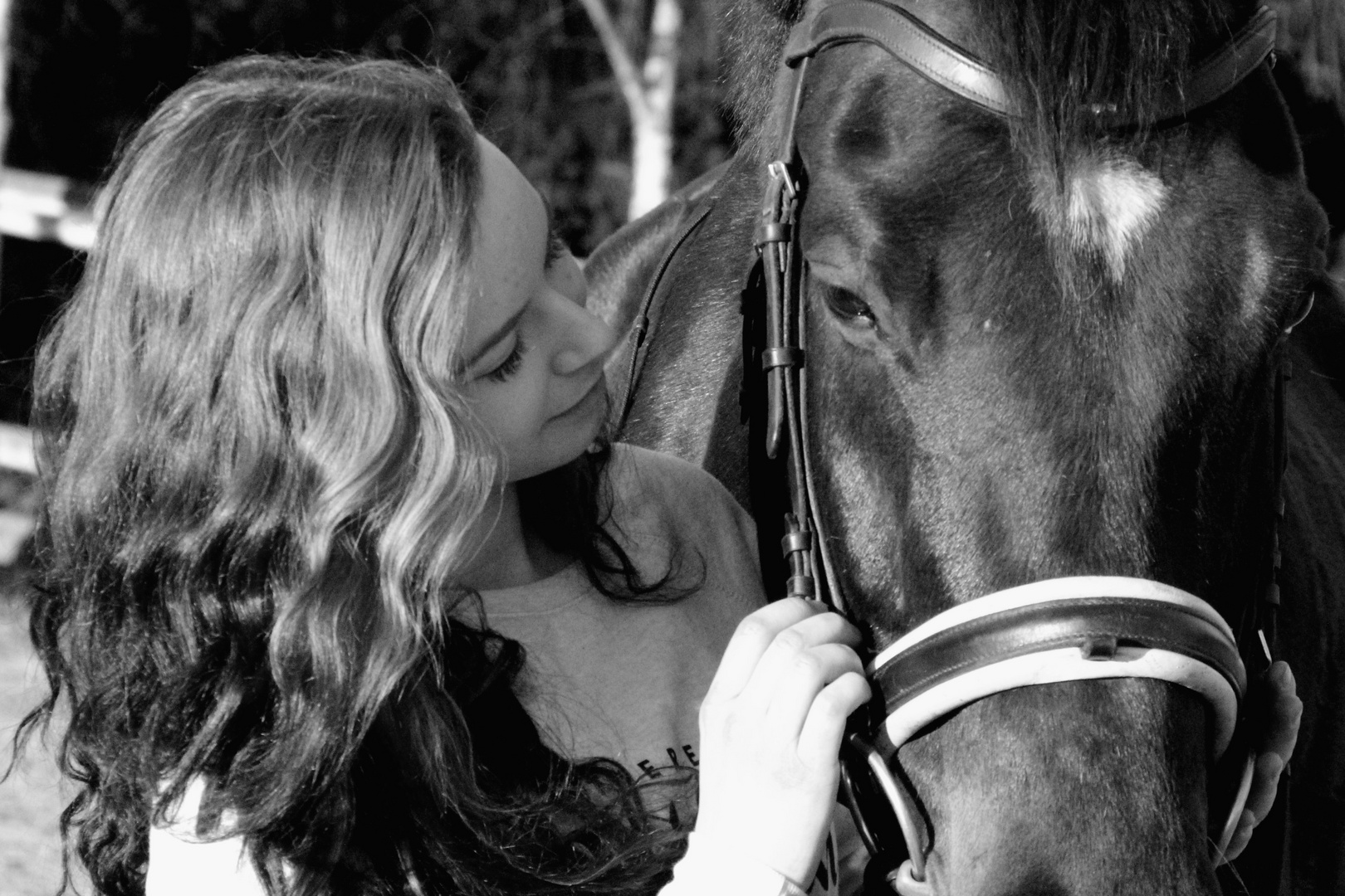 Hast du erstmal das Vertrauen eines Pferdes gewonnen, hast du einen Freund fürs Leben gefunden.