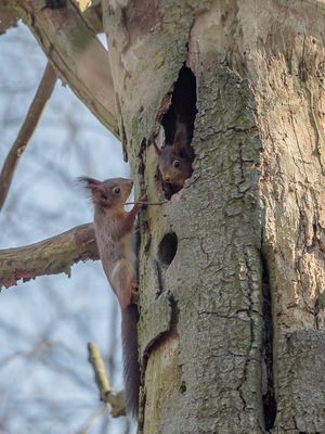 Hast Du was leckeres mitgebracht ?