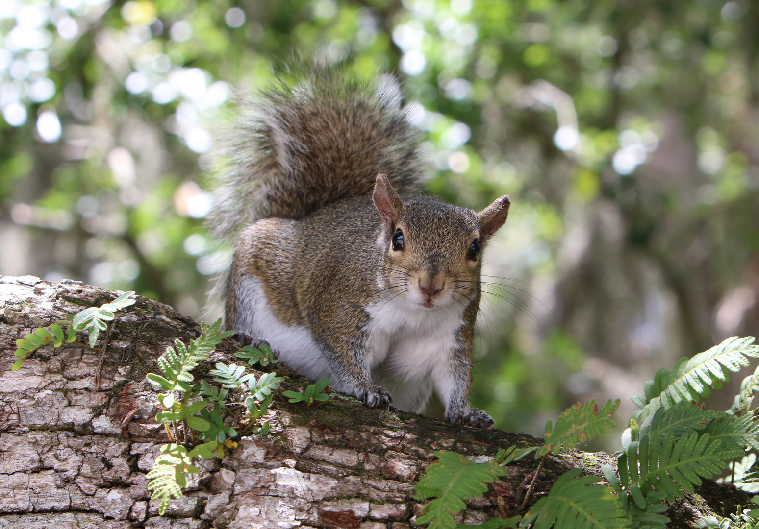 Hast Du was zum Essen?