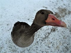 Hast du wirklich nix für mich?