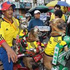 hasta las mascotas celebran