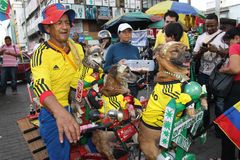 hasta las mascotas celebran