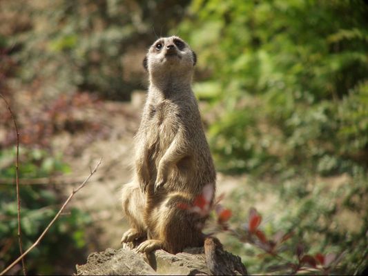 Haste denn ne Fotoerlaubnis?