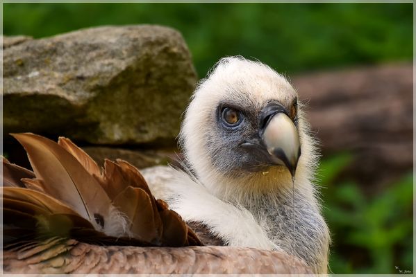 Haste mal ein Tempo......