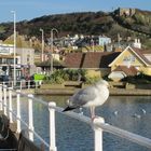 Hastings.East Sussex.