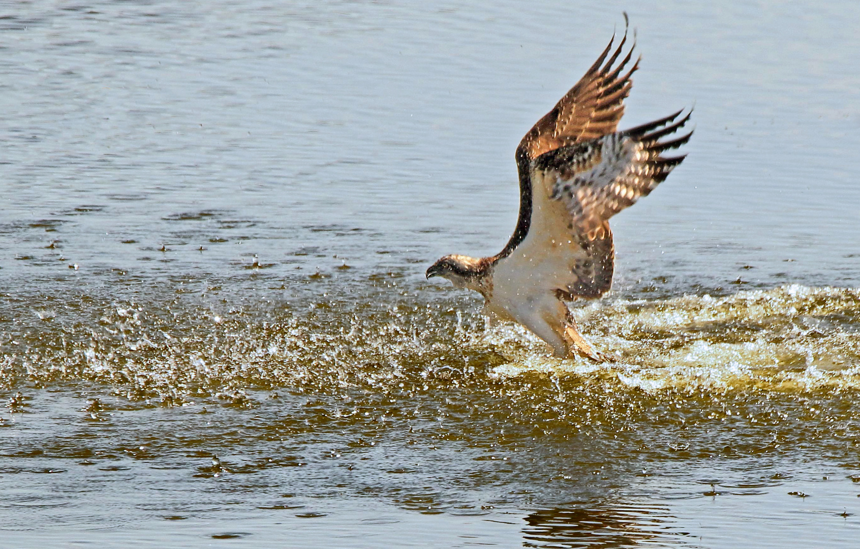 "Hat der Fischfang hier geklappt"?