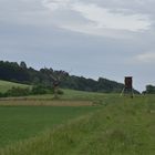 hat der Jäger den Baum erschossen ?   ;-) 