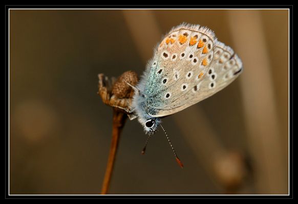 Hat der Puder aufgelegt?!