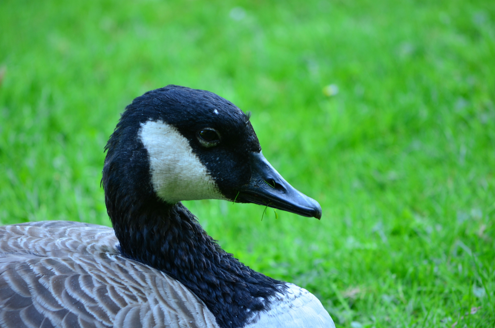 Hat es geschmeckt?