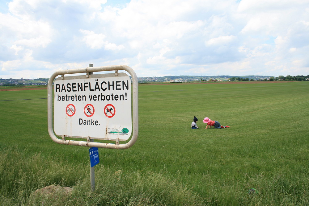 Hat jemand etwas von krabbeln gesagt?