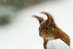 Hat jemand Frühling gesagt?