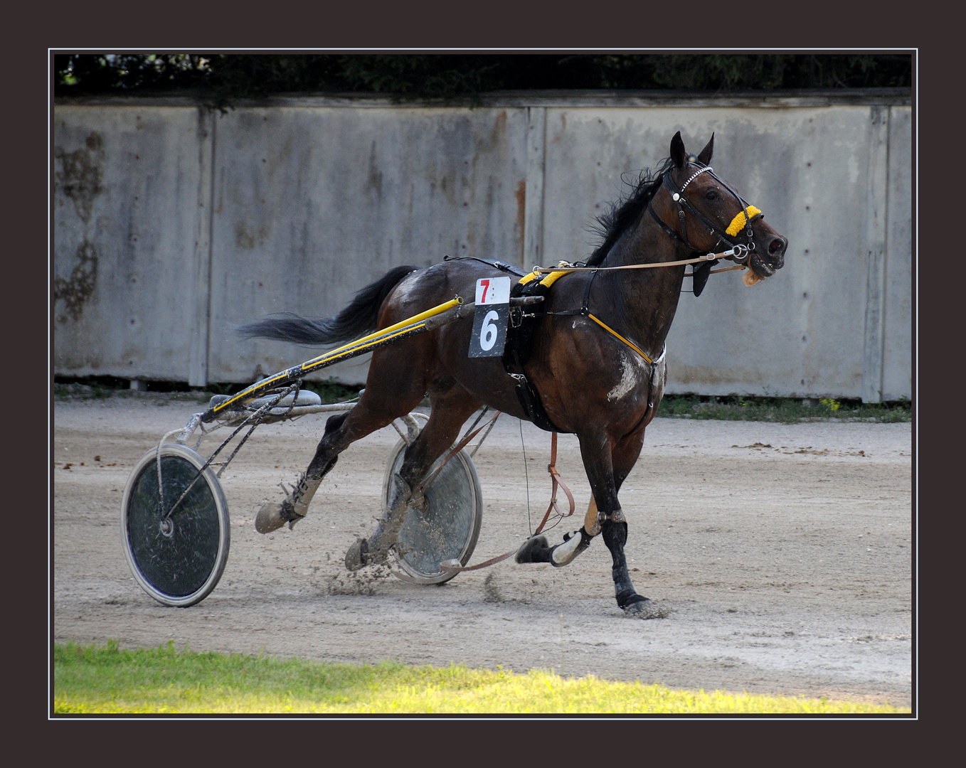 Hat jemand vielleicht meinen Jockey gesehen ?