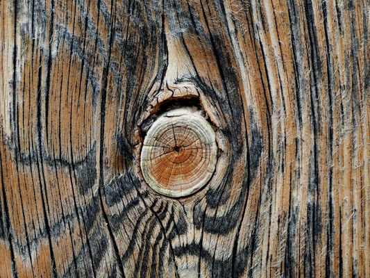 Hat nicht auch das Alter seine schönen Seiten?