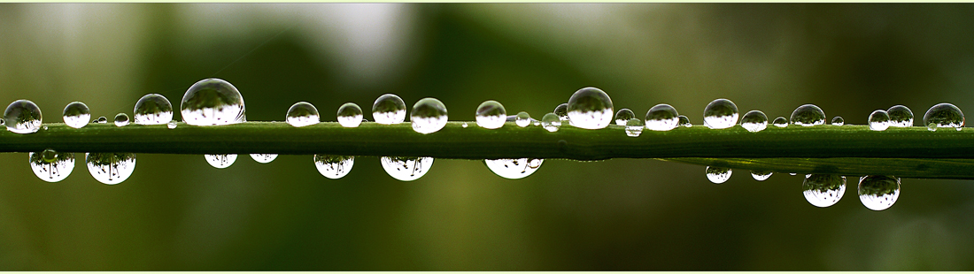 Hat nicht auch Regenwetter zuweilen seine schönen Seiten ?