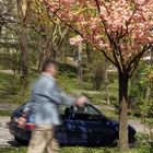 hat niemand mehr Zeit für den Frühling?