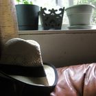 Hat on Sofa