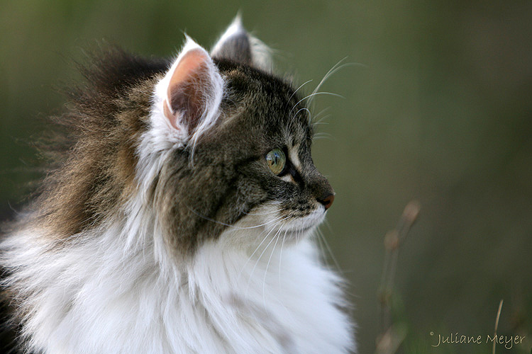 Hat sie nicht ein tolles Profil??