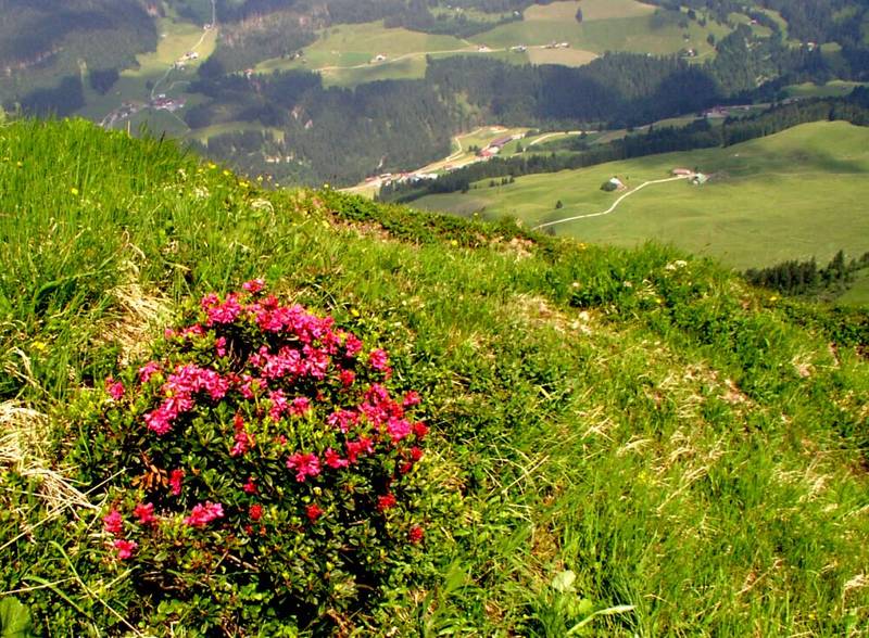 Hat sie nicht eine schöne Aussicht...