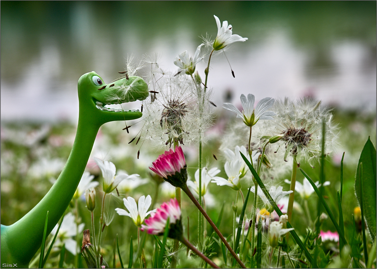 Hatschi Foto & Bild wiese, frühling, natur Bilder auf