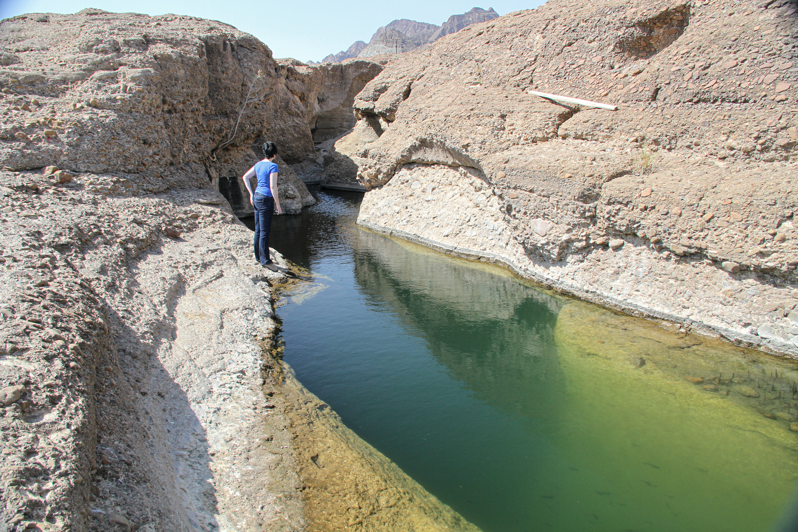 Hatta Fischpool