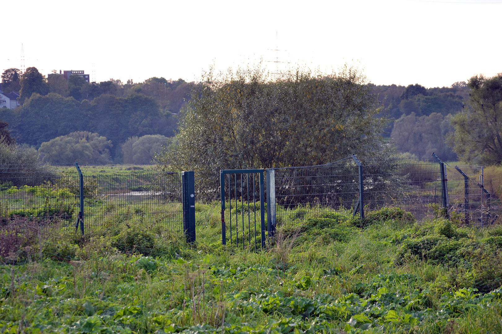 Hattingen, Herbst 2014, offene Grenze in den Ruhrwiesen ??