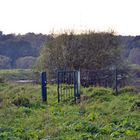 Hattingen, Herbst 2014, offene Grenze in den Ruhrwiesen ??