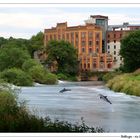 Hattingen,...ein Exot im Ruhrgebiet