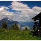 Hattinger Alm Juni 07 / 2