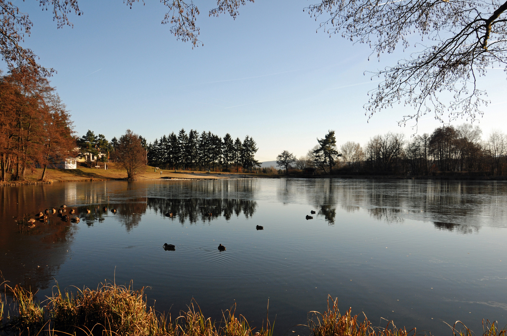 Hattsteinweiher bei Usingen