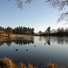 Hattsteinweiher bei Usingen