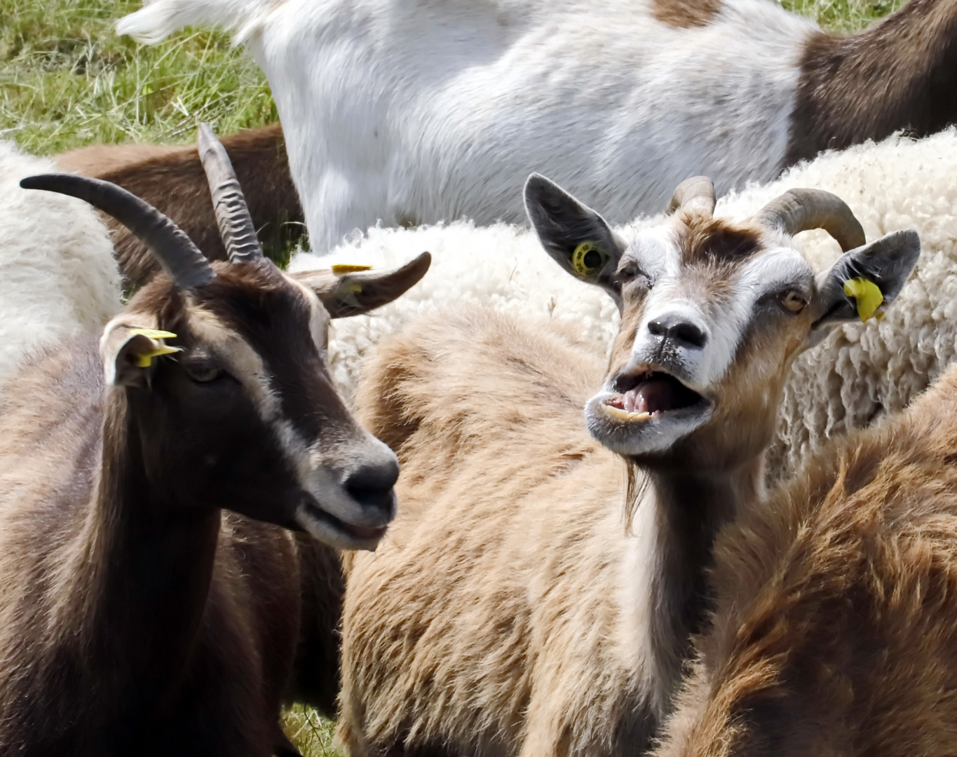 hau ab! Foto & Bild spezial, natur, emotionen Bilder auf