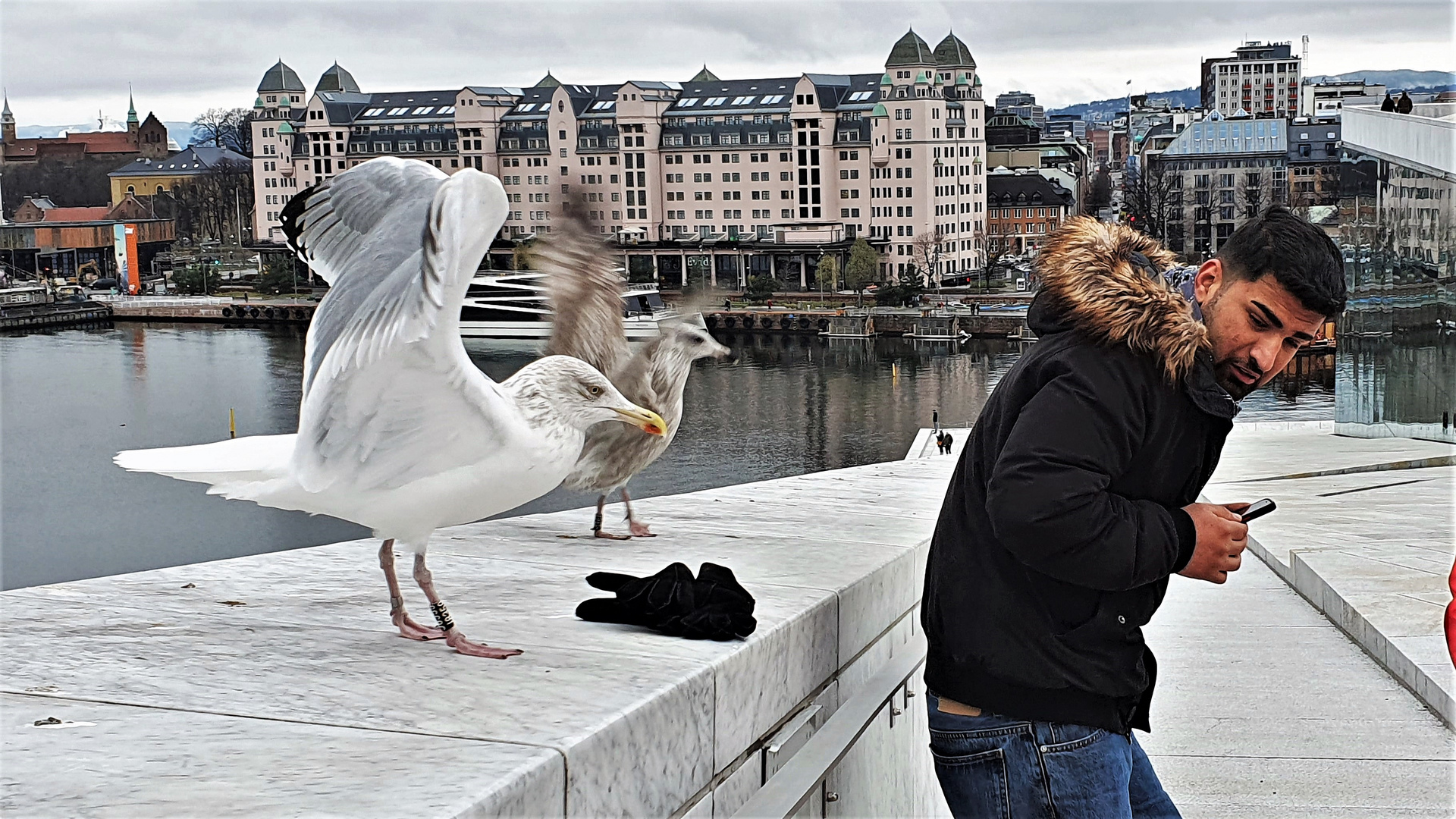 "Hau ab hier"