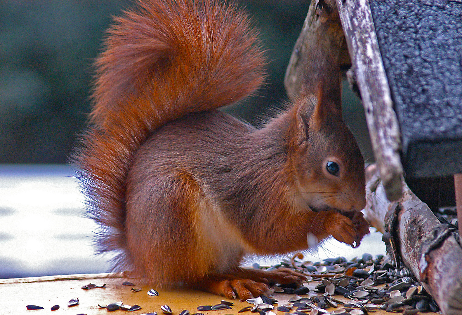 Hau rein - der Winter ist noch lang...