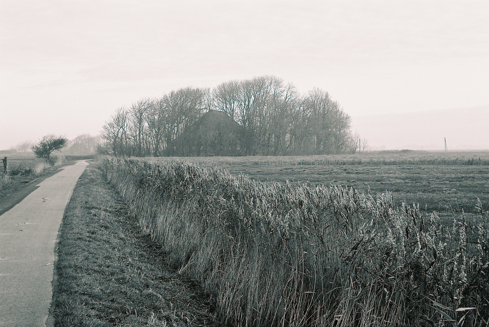 Haubarg in Welt Nordfriesland November 2006