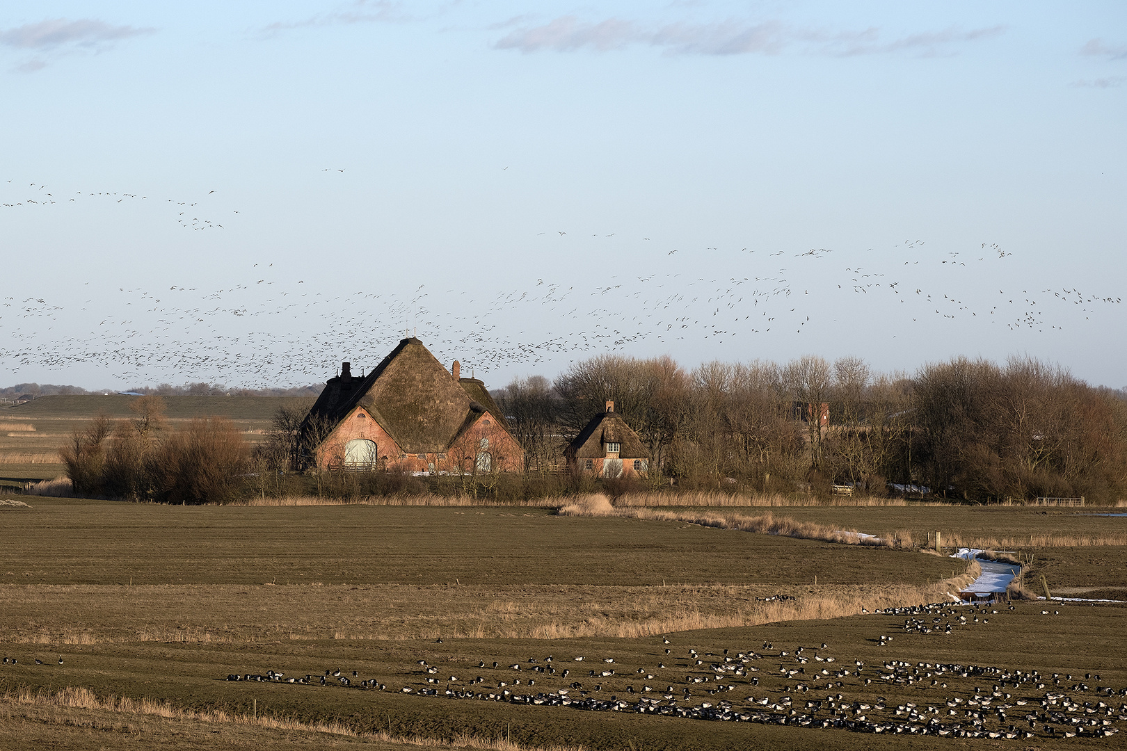 Haubarg in Westerhever