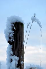 Haube auf