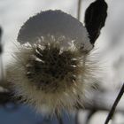 Haube aus Schnee