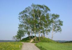 Haube bei Mannenberg