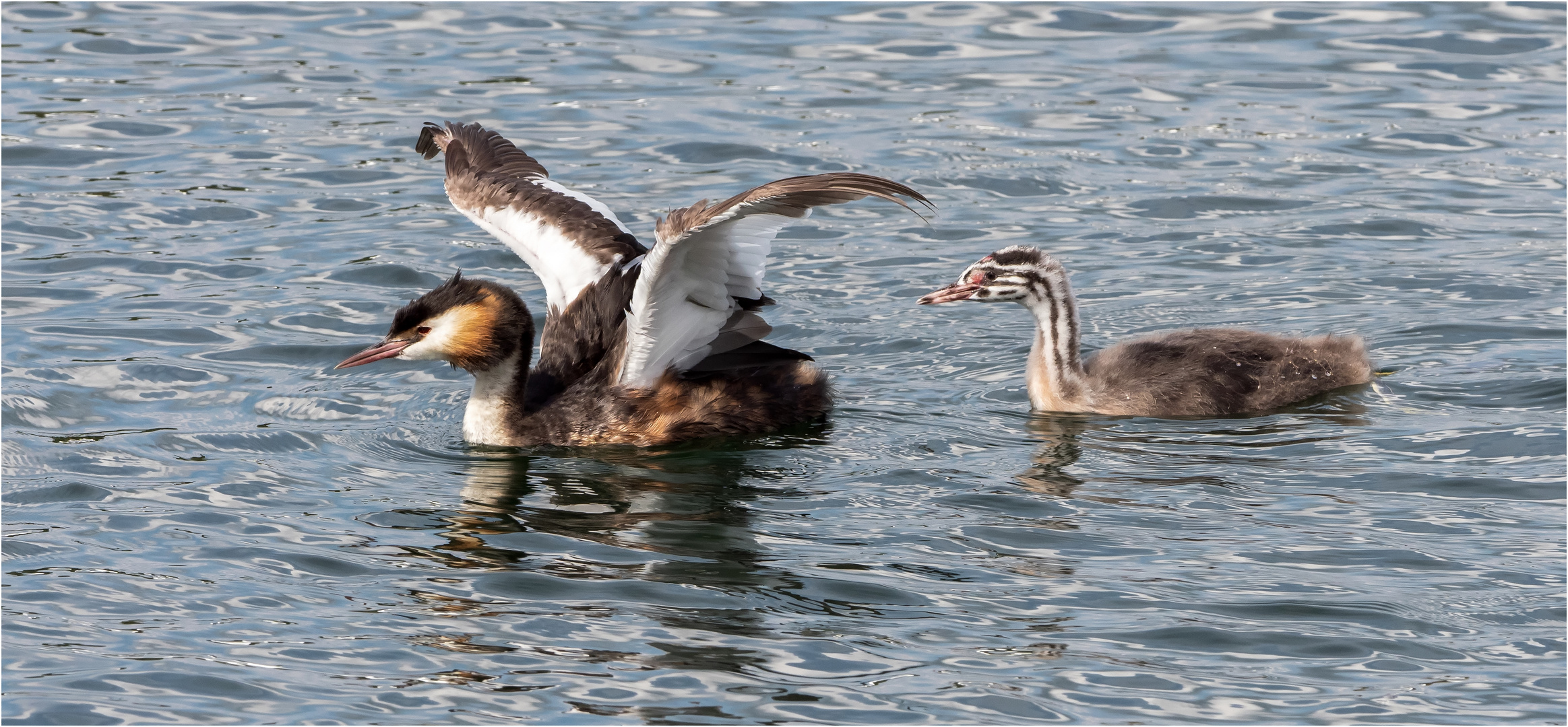 Alt, Feucht Und Wild Alt, Feucht Und Wild