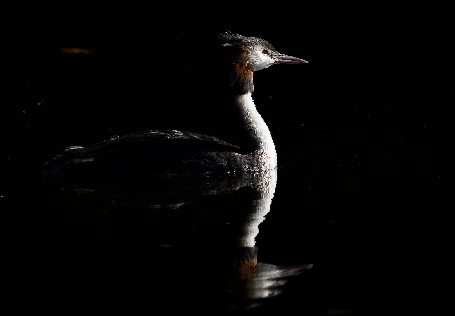 Haubi im Licht...