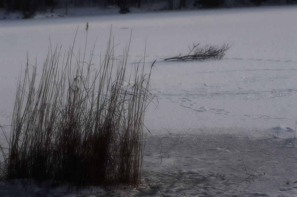 Hauch der Winters