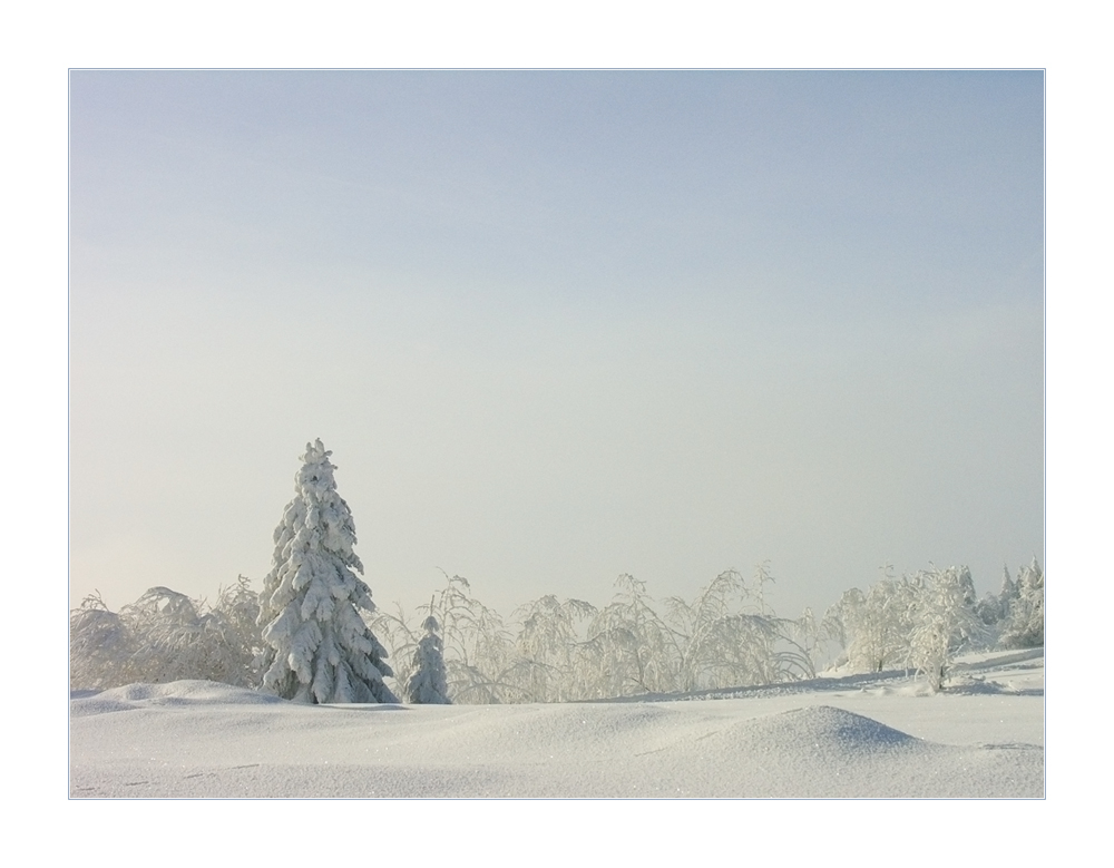 ...hauchfeines Winterpastell... - oder: Winter adé... !