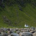 Hauckland / Lofoten