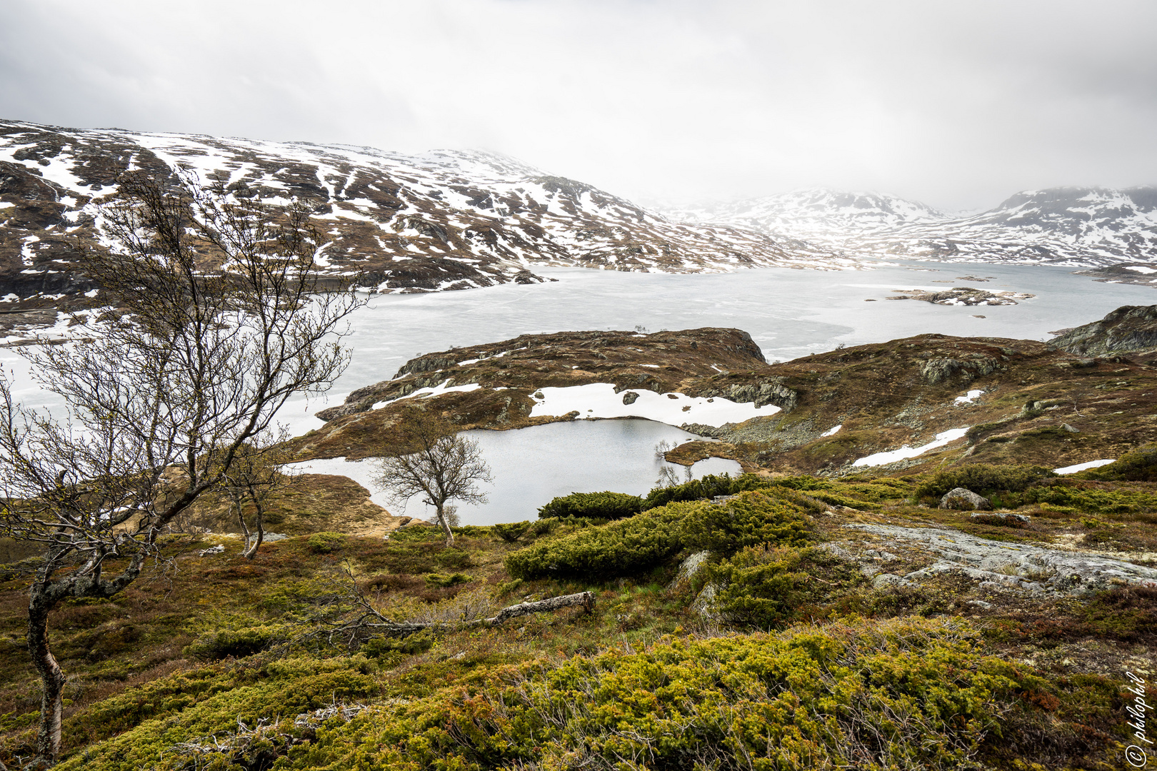 Haukelifjell