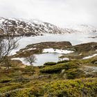 Haukelifjell