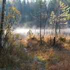 Haukkalampi from Naturalpark of Nuuksio