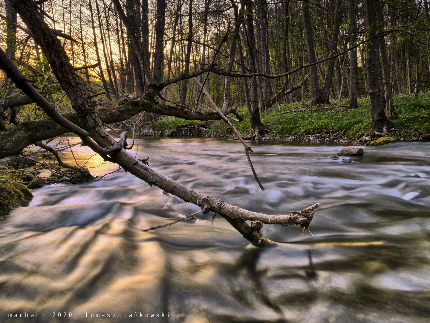 Haune: Langzeitfluss 